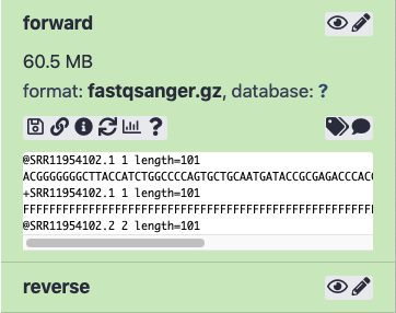 Preview of paired-end data downloaded by fasterq-dump tool