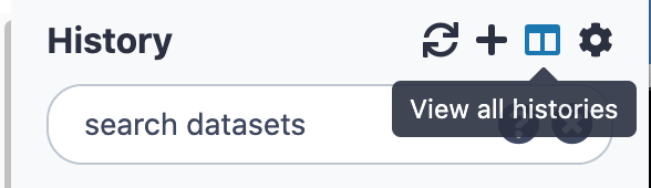 The View All Histories Option on Galaxy