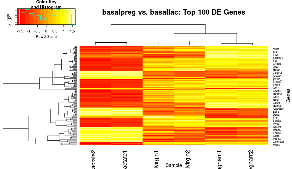 Customizing Plots in RStudio – Lesson Title